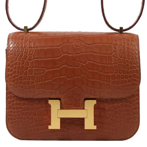HERMèS Matte Alligator Constance Mini 19 shoulder bag in Gold with Gold hardware