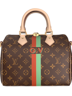 Speedy Bandoulière 25 Mon Monogram