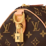 Speedy P9 Bandoulière 25 Monogram