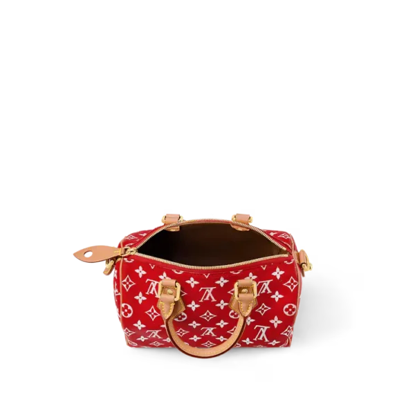 Speedy P9 Bandoulière 25 Rouge